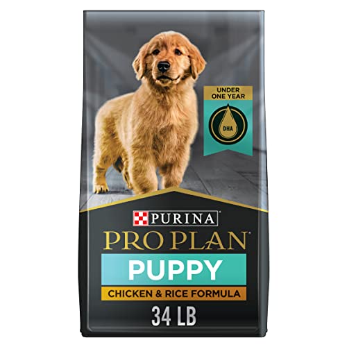 415ksF6r1jL.jpg Purina Pro Plan High Protein Dry Puppy Food, Chicken and Rice Formula - 34 lb. Bag - Image 1