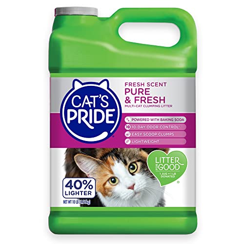 41eEC1OOSL.jpg Cat's Pride Premium Lightweight Clumping Litter: Pure & Fresh - Up to 10 Days of Powerful Odor Control - Multi-Cat, Scented, 10 Pounds - Image 1