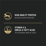 Purina Pro Plan High Protein Dry Puppy Food, Chicken and Rice Formula - 34 lb. Bag - Image 5