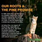 Feline Pine Platinum Non-Clumping Cat Litter 18lb. - Image 8