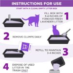 Arm & Hammer Forever Fresh Clumping Cat Litter Lavender, MultiCat 18lb with 20% More Lavender Freshness, Pet Friendly with Essential Oils - Image 11