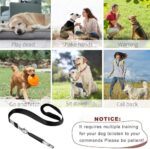 Dog Whistle, 2 Pack Adjustable Ultrasonic Dog Whistle to Stop Barking for Dogs, Recall Training, Professional Ultrasonic Silent Dog Whistle Training Control Tool for Dogs, with Black Strap Lanyard - Image 6