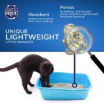 Cat's Pride Premium Lightweight Clumping Litter: Pure & Fresh - Up to 10 Days of Powerful Odor Control - Multi-Cat, Scented, 10 Pounds - Image 6