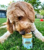 BUDDY BUDDER Bark Bistro Company, Ruff Ruff Raw, 100% Natural Dog Peanut Butter, Healthy Peanut Butter Dog Treats, Dog Enrichment, Dog Pill Pocket, Made in USA, (17 oz Jars) - Image 3