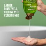 OGX Extra Strength Refreshing Scalp + Teatree Mint , Invigorating Scalp Shampoo with Tea Tree & Peppermint Oil & Witch Hazel, Paraben/ Sulfate-Free Surfactants, 13 fl oz - Image 4