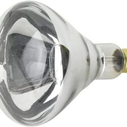 Feit Electric 250R40/1 250-Watt Incandescent R40 Bulb