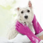 Playtex Gloves Living, Premium Protection, Large 1 Pair (Colors May Vary) - Image 8